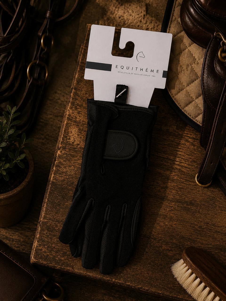 Equitheme Gloves